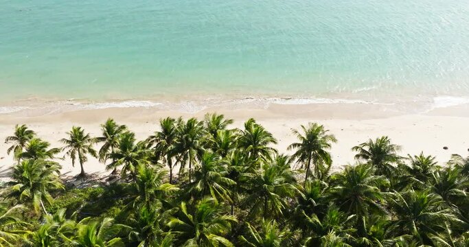 aerial view of beautiful sand beach with coconut tree woods in Haikou Hainan China