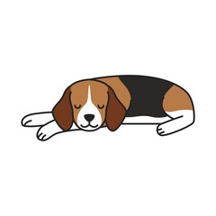 Beagle dog sleeping illustration