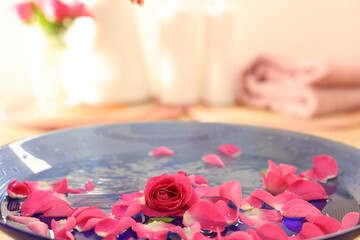 Pink rose and petals in bowl with water on blurred background, closeup