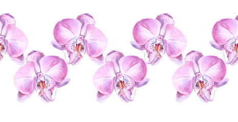 Seamless border watercolor pink purple orchid flower isolated on white background. Creative nature realistic home plant for wedding, card, wallpaper, textile, wrapping, florist, celebration © NatashaKun