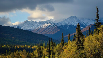 Obraz premium Snowy mountains of Alaska, landscape with forests, valleys, and rivers in daytime. Breathtaking nature composition background wallpaper, travel destination, adventure outdoors