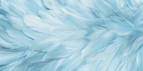 Obraz premium Serene Beauty Unveiled - Light Blue Feathers Up Close - Perfect for Calming Backgrounds or Striking Wallpaper Designs