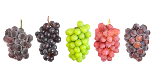 ぶどう5種　左から　巨峰　スチューベン　マスカット　甲斐路　ピオーネ