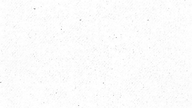 1080p, random looping noise texture on a white background.