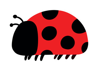 Obraz premium Cute Ladybug Insect Animal Hnaddrawn Cartoon Doodle Vector Illustration
