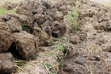 Naklejka na ściany i meble View of cracked soil on land