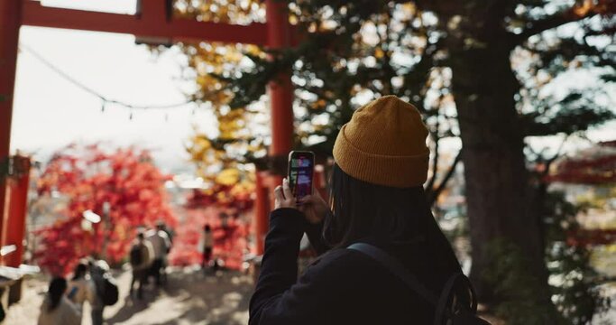 Phone, travel and Japanese woman in nature for holiday, vacation and adventure in Japan. Happy, forest and person take picture on smartphone by trees for social media post, memories and online blog