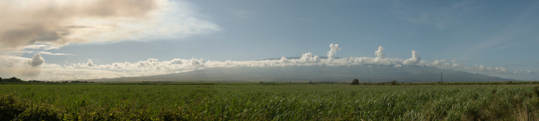 Fototapeta na wymiar Haleakala volcano and sugar cane field wide panoramic view, sunny day on Maui, Hawaii