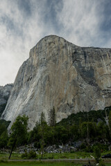 Deep Green Trees Surround The Base Of El Capitan In Yosemite