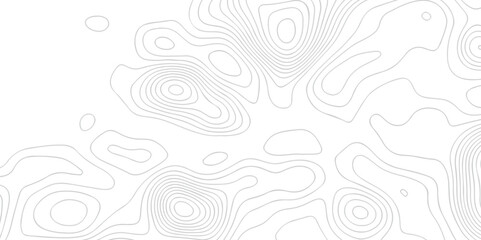 White wave paper curved reliefs abstract background black and white, Background of the topographic line map. Topographic map patterns abstract white topography vector background.