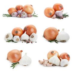 Fresh garlic, onions, rosemary and peppercorns isolated on white, set