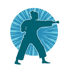 Silhouette of a slim female doing martial art pose. Silhouette of a martial art woman in action pose.
