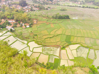Fototapeta na wymiar Indonesian Patchwork Landscape. Aerial Photography. Aerial panorama over green rice field. Shot from a drone flying 200 meters high. Cikancung, Indonesia