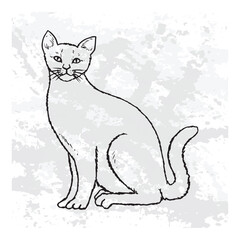 Hand drawn illustration of Cat isolated on abstract background
