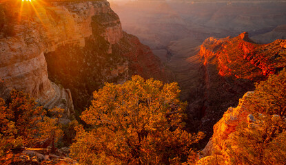 Grand Canyon north rim at golden sunset, Arizona. Red rock canyon, rocky mountains. Canyon national...