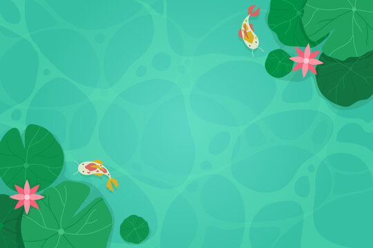 Floating Lotus Leaves Above Pool
