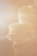 White shiny glare from sunlight on beige background, abstract nature photo with sunshine flare,...