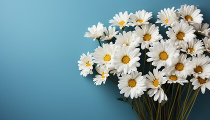 Freshness of summer yellow daisy blossoms in green meadow generated by AI