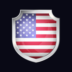 USA Silver Shield Flag Icon