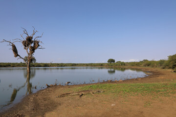 Afrikanischer Busch - Krügerpark - Sunset Dam / African Bush - Kruger Park - Sunset Dam /