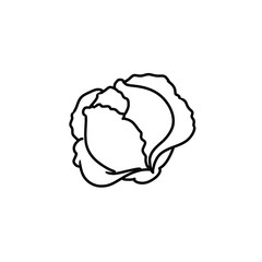 Cabbage icon