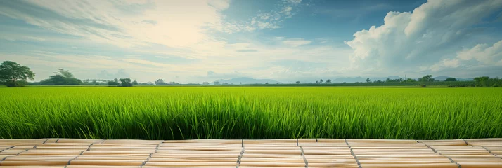 Foto op Canvas An expansive rice paddy field stretches towards the horizon under a soft morning sky. In the foreground, a traditional bamboo platform offers a place of rest and contemplation for the observer. © Peeradontax