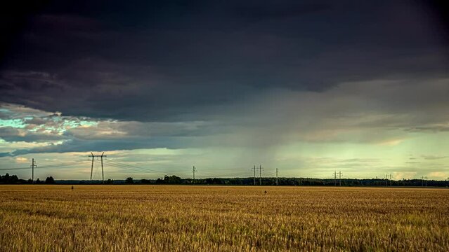 Time lapse of storm clouds passing over a field of wheat.