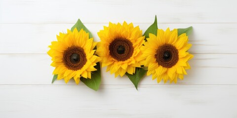 Top-down view of three lovely yellow sunflowers on a white wooden surface - ideal for presentations, decor, and web design.