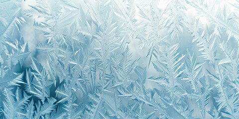Frosty window pattern, with intricate ice crystals and a soft bluish hue, creating a cold, wintry feel - obrazy, fototapety, plakaty