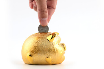 put coin into piggy bank
