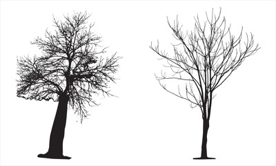 Tree Silhouette vector artwork Concepts Design Elements
