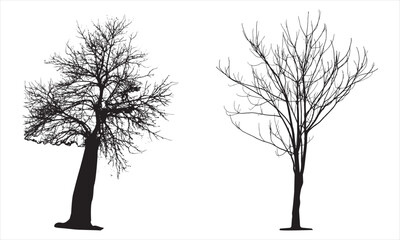 Tree Silhouette vector artwork Concepts Design Elements
