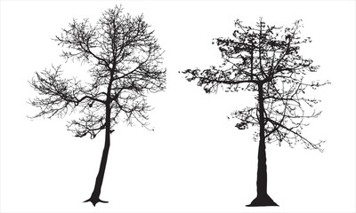 Tree Silhouette vector artwork Concepts Design Elements