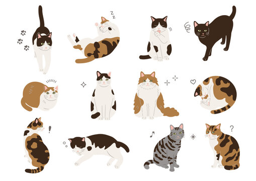 さまざまなポーズの猫のイラスト