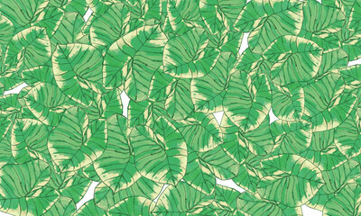 green leaves tropical  pattern  spring nature background