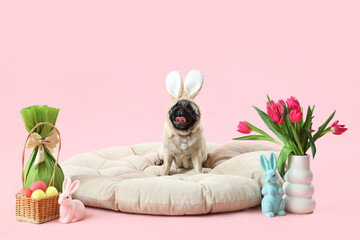 Cute pug dog in bunny ears with Easter eggs and tulips on pink background