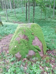 Nature. Mossy stone.
