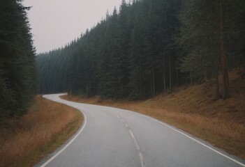Fototapeta premium Beautiful tree lined road in the Tunnel of Trees on a drive through Emmet County from Harbor Springs