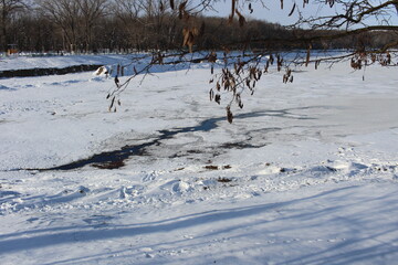The lake is covered in ice in winter, everything is covered in snow