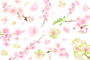 花の背景（桜）