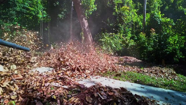 Air blower for blowing grass, leaf debris, creating fire breaks, .preventing forest fires, backpack style..Slow motion The leaves are blown away by the force of the wind blowing from the blow dryer..