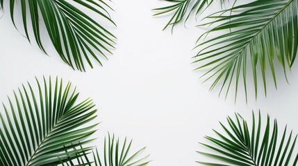 Fototapeta na wymiar a group of green palm leaves on a white background with a place for a text or an image to put on a wall.
