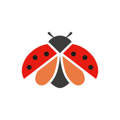 Flying ladybug. Color vector.