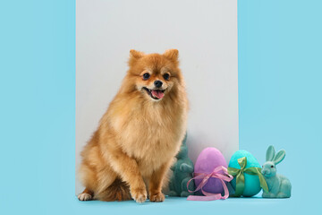 Cute Pomeranian dog with blank poster, Easter rabbits and eggs on blue background