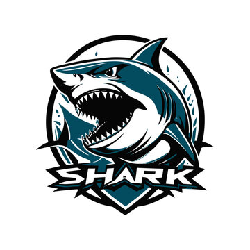 shark football club logo design in 3 color