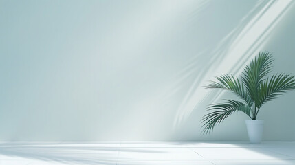 Minimalistic light background with Green Palm Leaves with Light and Shadow Effects. Beautiful...