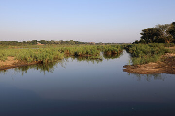 Afrikanischer Busch - Krügerpark - Sabie River / African Bush - Kruger Park - Sabie River /