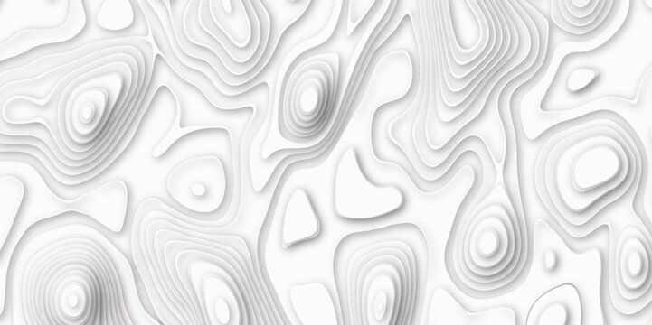 White, grey marble texture with natural pattern for background. Art abstract white fractal pattern 3d rendering. Topographic map in contour line Geography relief.