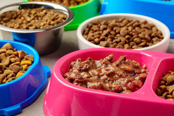 Plastic pet bowl with food on gray background