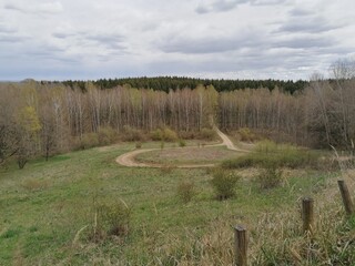A forest with a road.